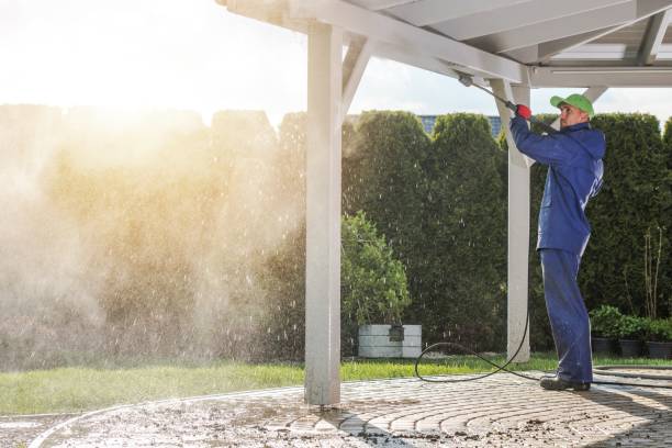 Animal Enclosure Cleaning